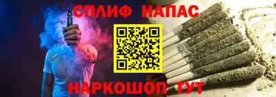 jwh Бийск