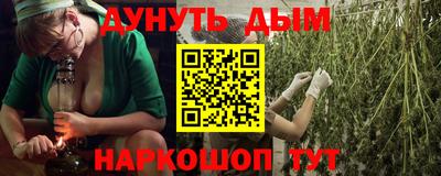 jwh Бийск