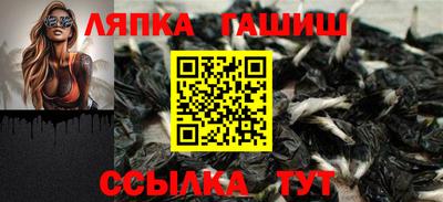 jwh Бийск